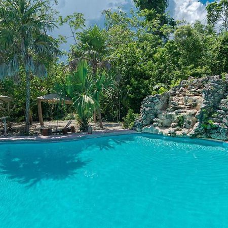 Jolie Jungle Eco Hotel (Adults Only) Leona Vicario Bagian luar foto