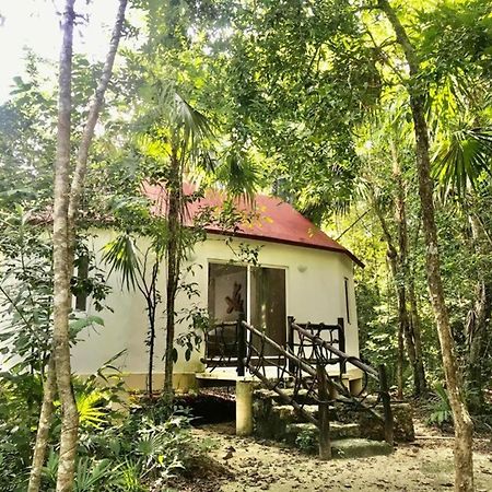 Jolie Jungle Eco Hotel (Adults Only) Leona Vicario Bagian luar foto