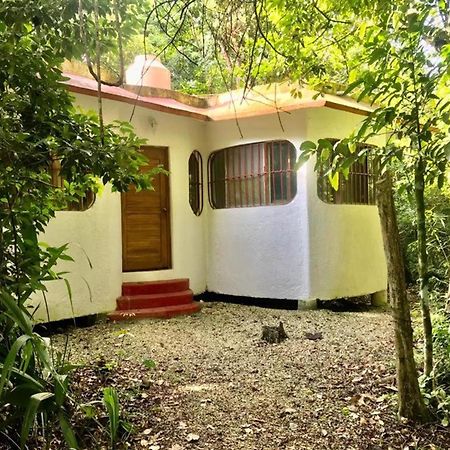 Jolie Jungle Eco Hotel (Adults Only) Leona Vicario Bagian luar foto