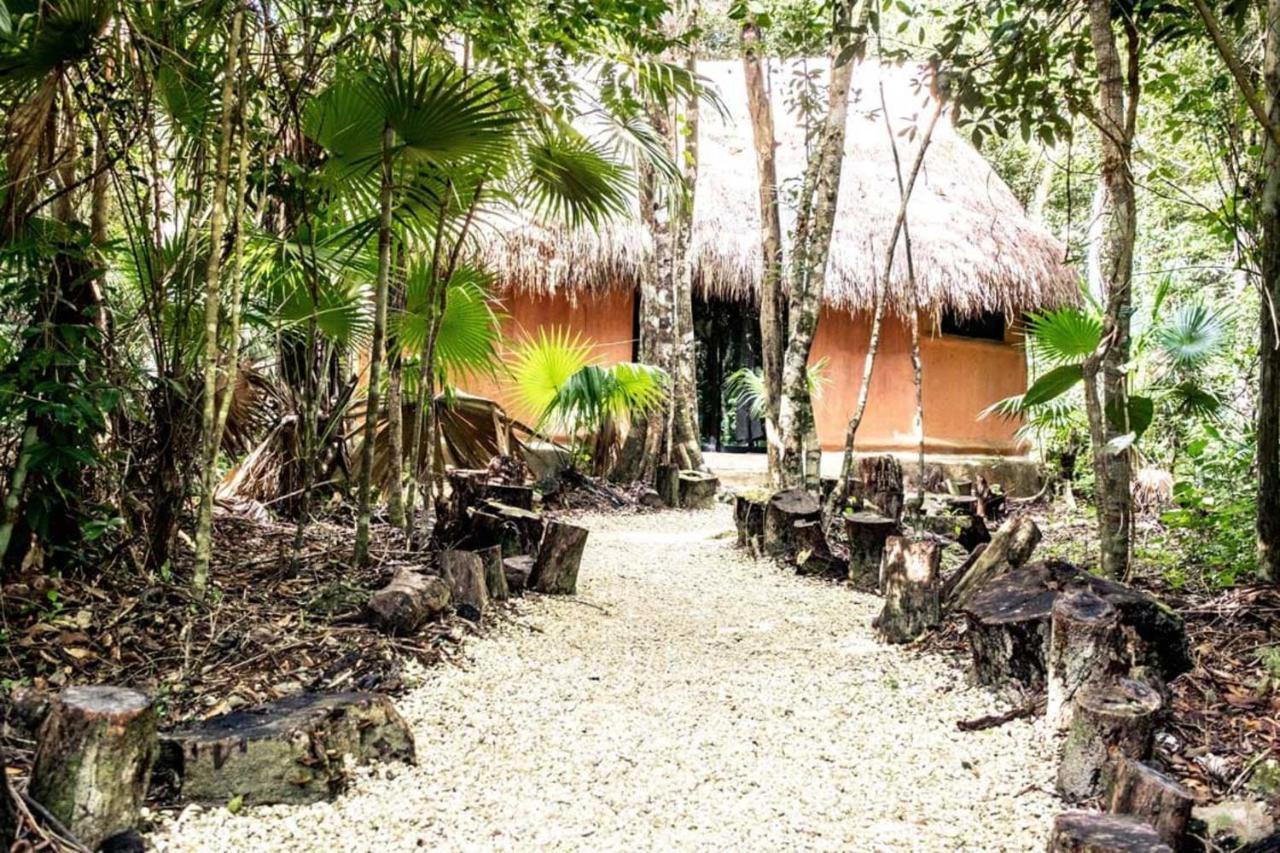 Jolie Jungle Eco Hotel (Adults Only) Leona Vicario Bagian luar foto