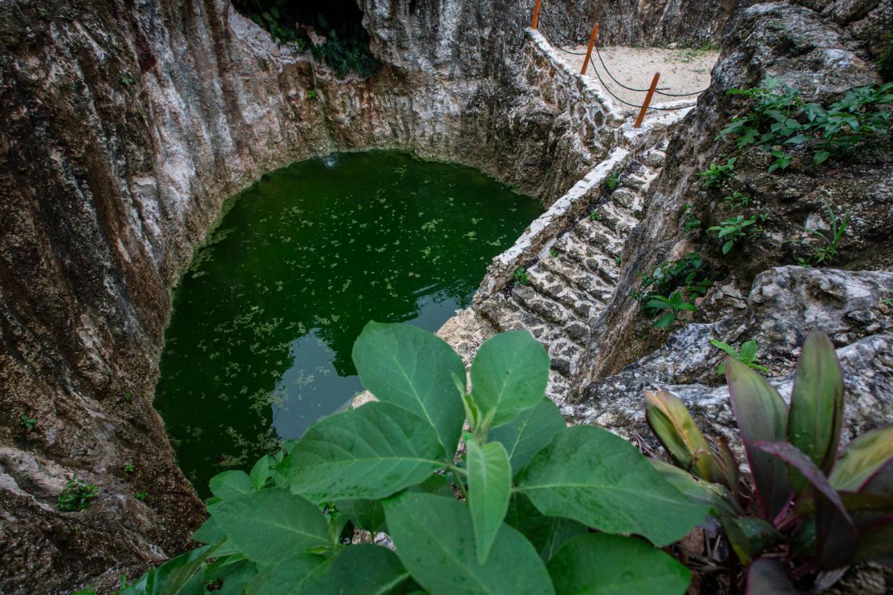 Jolie Jungle Eco Hotel (Adults Only) Leona Vicario Bagian luar foto