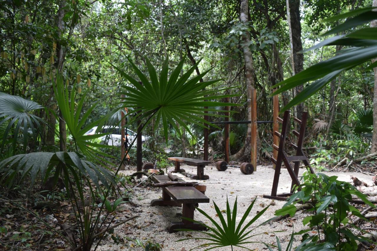 Jolie Jungle Eco Hotel (Adults Only) Leona Vicario Bagian luar foto