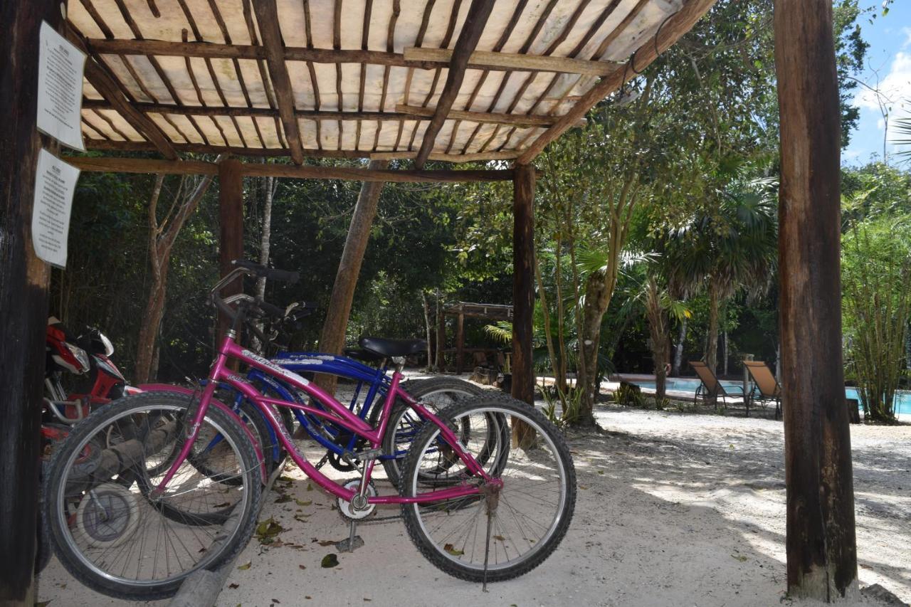 Jolie Jungle Eco Hotel (Adults Only) Leona Vicario Bagian luar foto