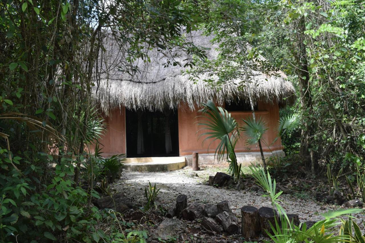 Jolie Jungle Eco Hotel (Adults Only) Leona Vicario Bagian luar foto