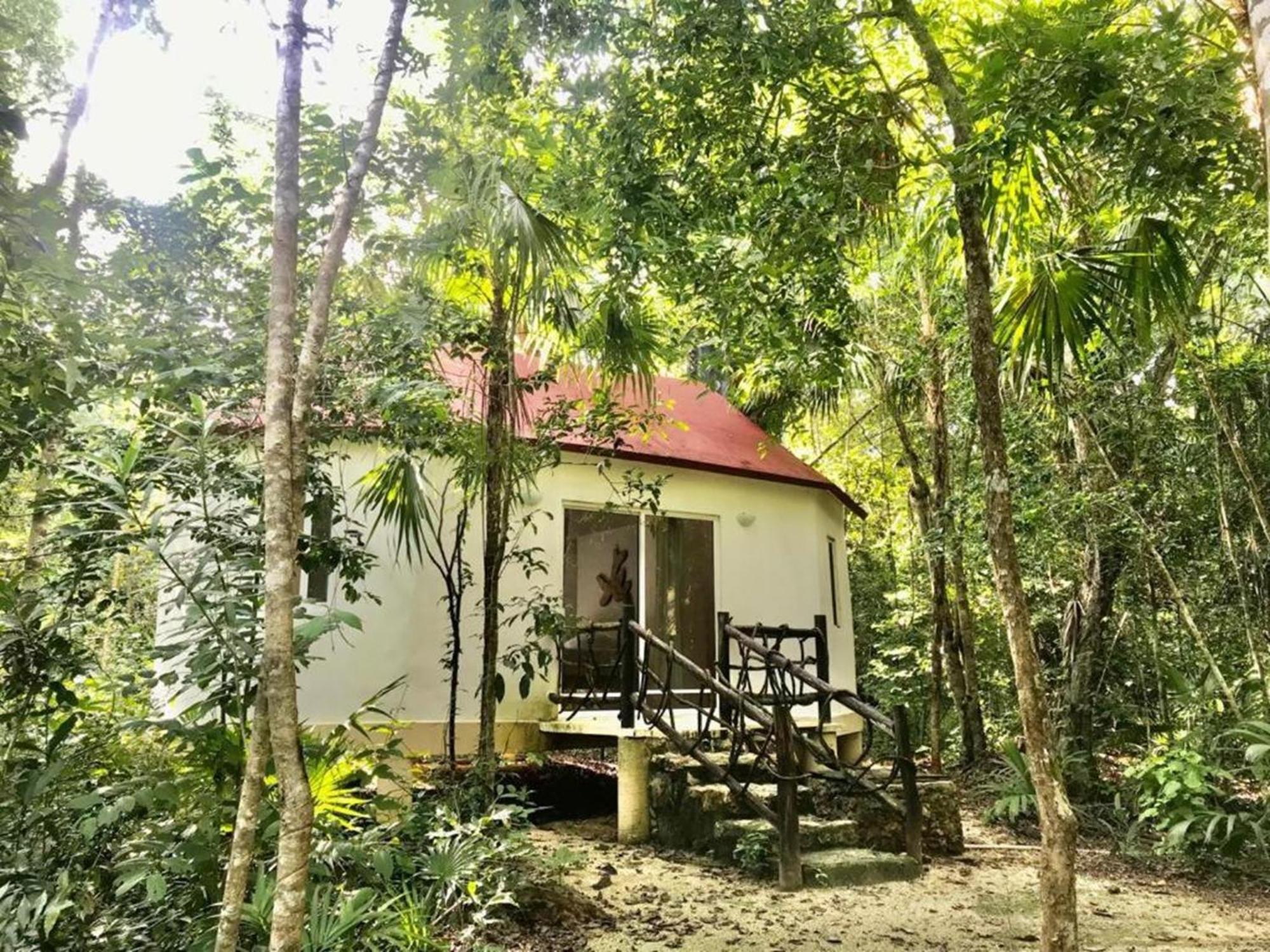 Jolie Jungle Eco Hotel (Adults Only) Leona Vicario Bagian luar foto