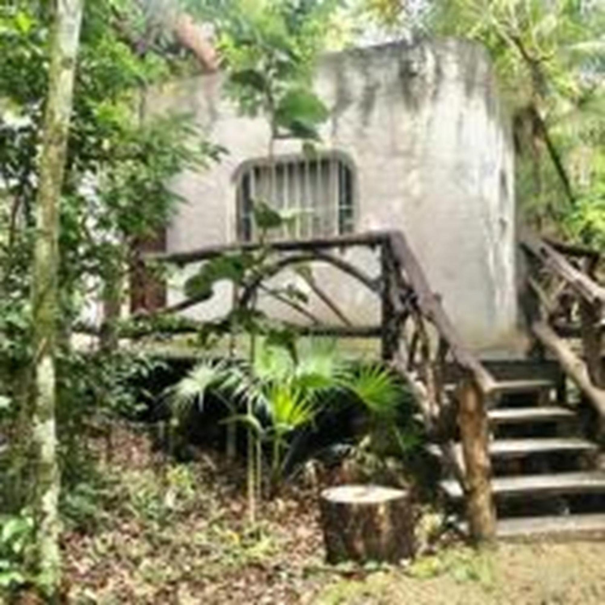 Jolie Jungle Eco Hotel (Adults Only) Leona Vicario Bagian luar foto